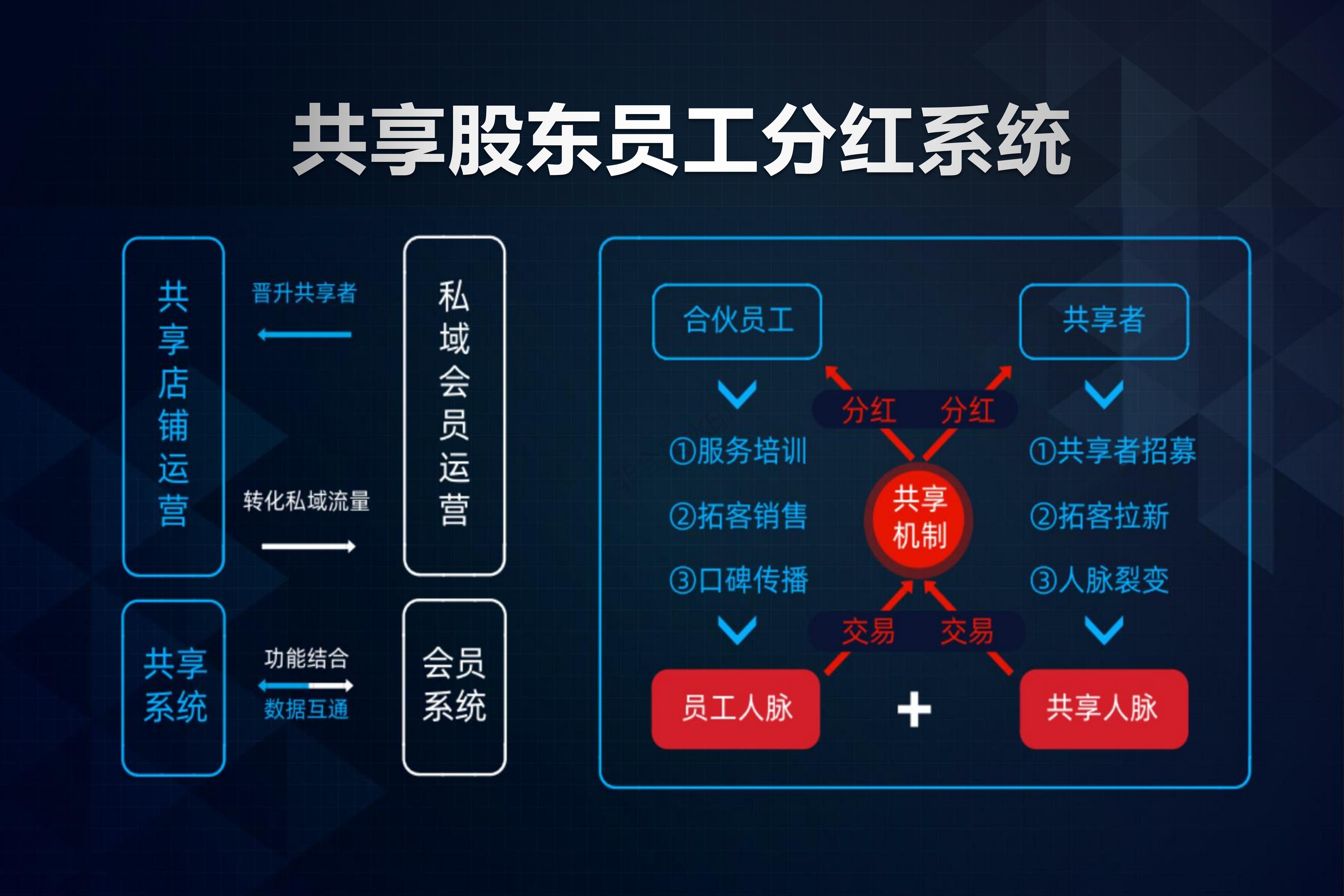 共享股东系统 码达科技专业扶持实体店