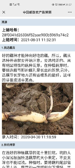 芯盒码防伪溯源系统