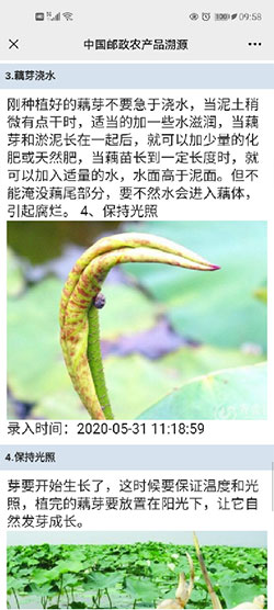 芯盒码防伪溯源系统